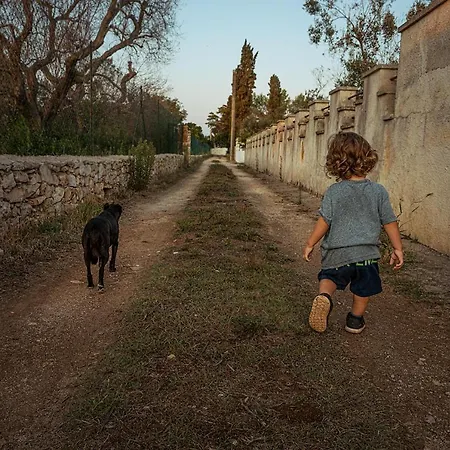 Alojamento de Turismo Rural Manfio's *
