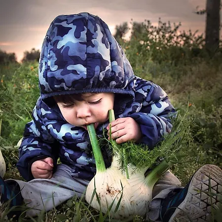 Gospodarstwo agroturystyczne Manfio's *