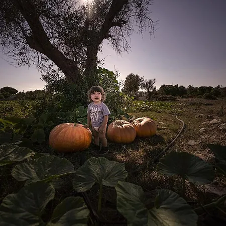 Manfio's Farm stay Ruffano